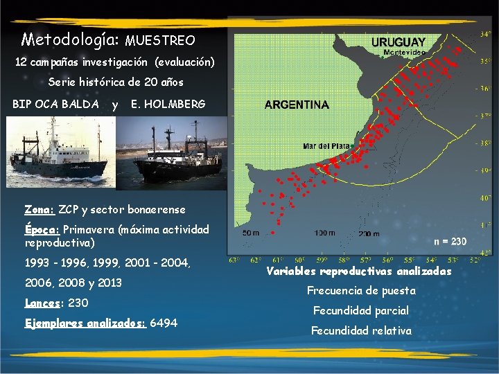 Metodología: MUESTREO 12 campañas investigación (evaluación) Serie histórica de 20 años BIP OCA BALDA Metodología: MUESTREO 12 campañas investigación (evaluación) Serie histórica de 20 años BIP OCA BALDA