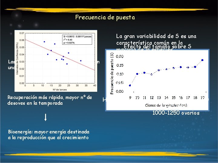 Frecuencia de puesta La gran variabilidad de S es una característica común en la