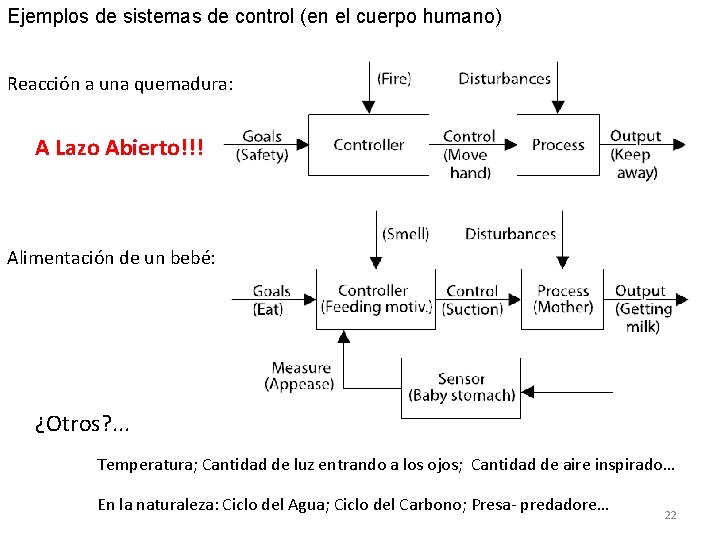 Ejemplos de sistemas de control (en el cuerpo humano) Reacción a una quemadura: A