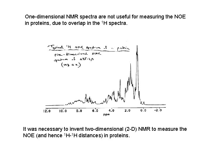 One-dimensional NMR spectra are not useful for measuring the NOE in proteins, due to