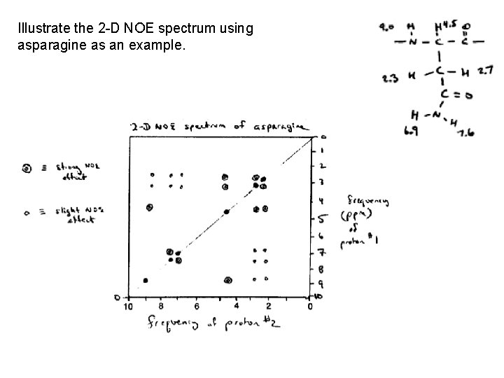 Illustrate the 2 -D NOE spectrum using asparagine as an example. 