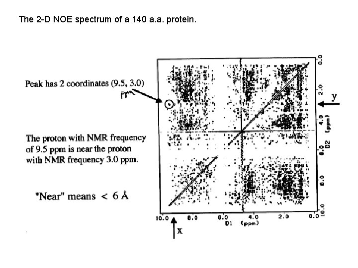 The 2 -D NOE spectrum of a 140 a. a. protein. 