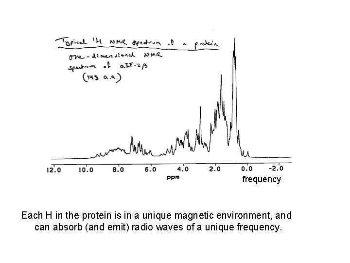 frequency Each H in the protein is in a unique magnetic environment, and can