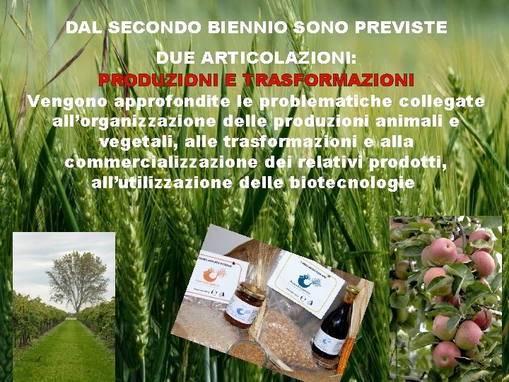 DAL SECONDO BIENNIO SONO PREVISTE DUE ARTICOLAZIONI: PRODUZIONI E TRASFORMAZIONI Vengono approfondite le problematiche