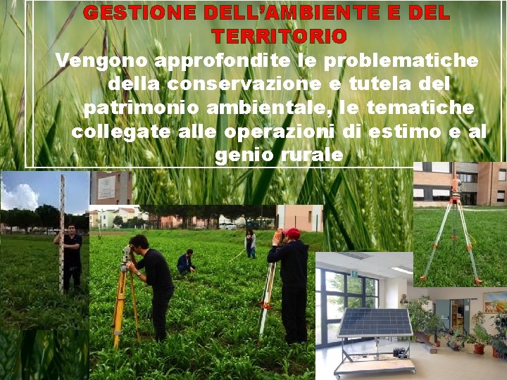 GESTIONE DELL’AMBIENTE E DEL TERRITORIO Vengono approfondite le problematiche della conservazione e tutela del