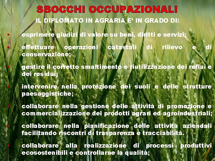 SBOCCHI OCCUPAZIONALI IL DIPLOMATO IN AGRARIA E’ IN GRADO DI: • esprimere giudizi di