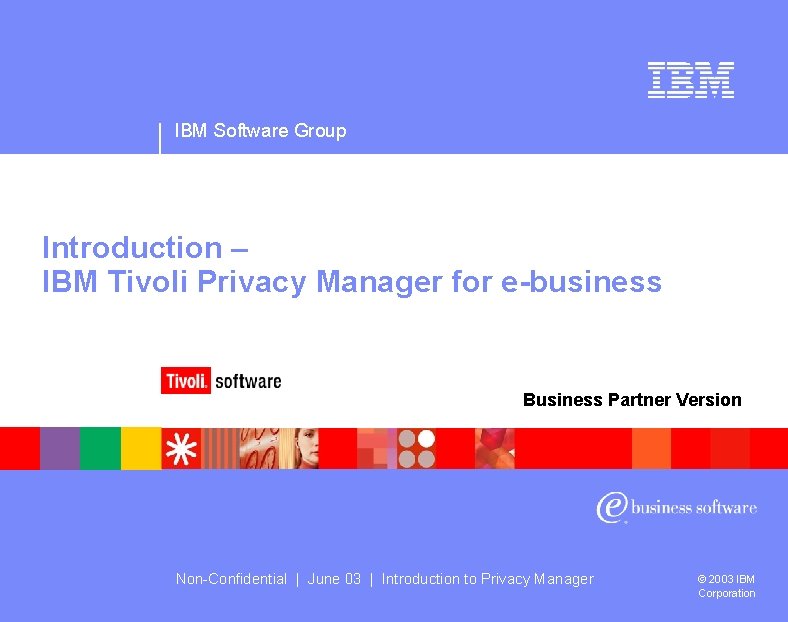 IBM Software Group Introduction – IBM Tivoli Privacy Manager for e-business Business Partner Version