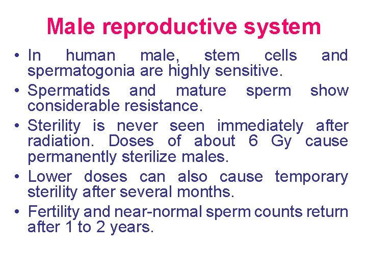 Male reproductive system • In human male, stem cells and spermatogonia are highly sensitive.