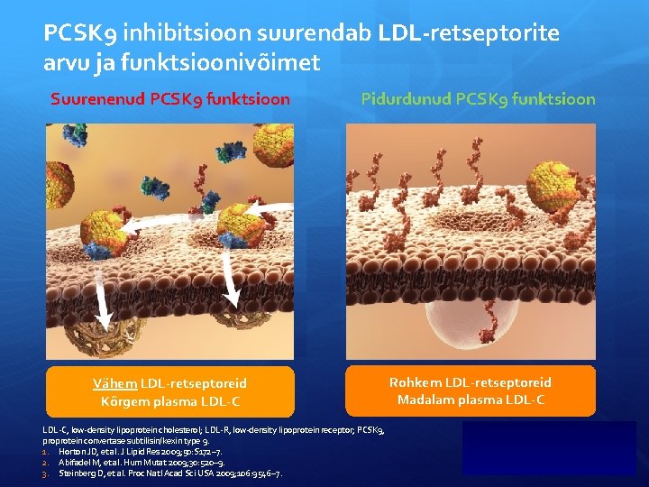 PCSK 9 inhibitsioon suurendab LDL-retseptorite arvu ja funktsioonivõimet Suurenenud PCSK 9 funktsioon Pidurdunud PCSK