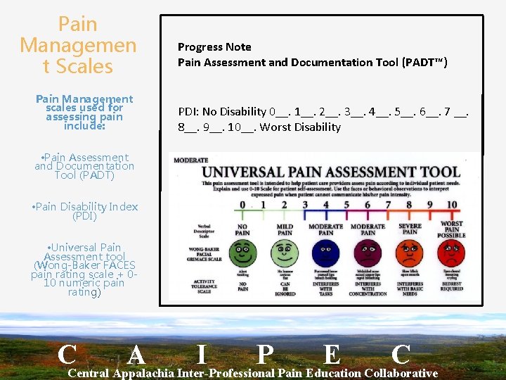 Pain Managemen t Scales Pain Management scales used for assessing pain include: Progress Note