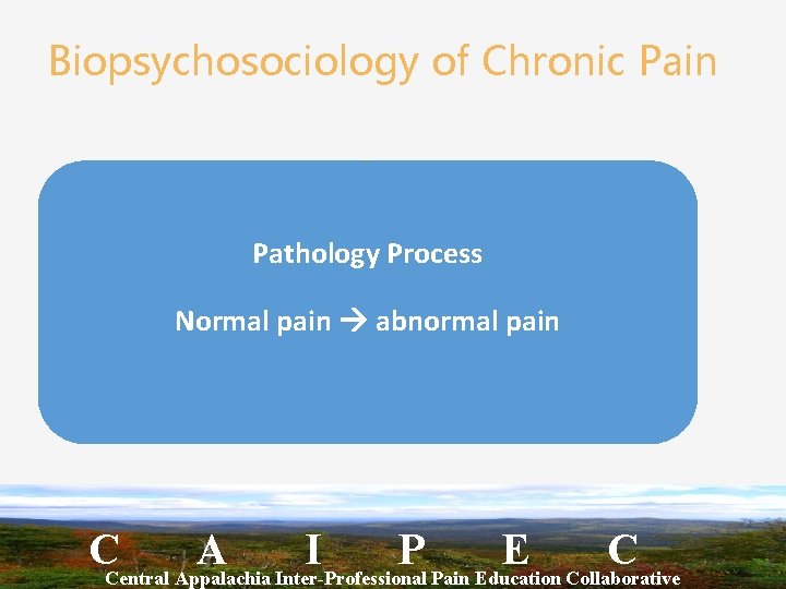 Biopsychosociology of Chronic Pain Pathology Process Normal pain abnormal pain CCentral Appalachia A Inter-Professional