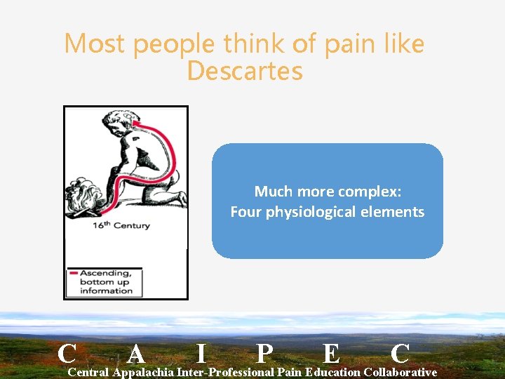 Most people think of pain like Descartes Much more complex: Four physiological elements CCentral