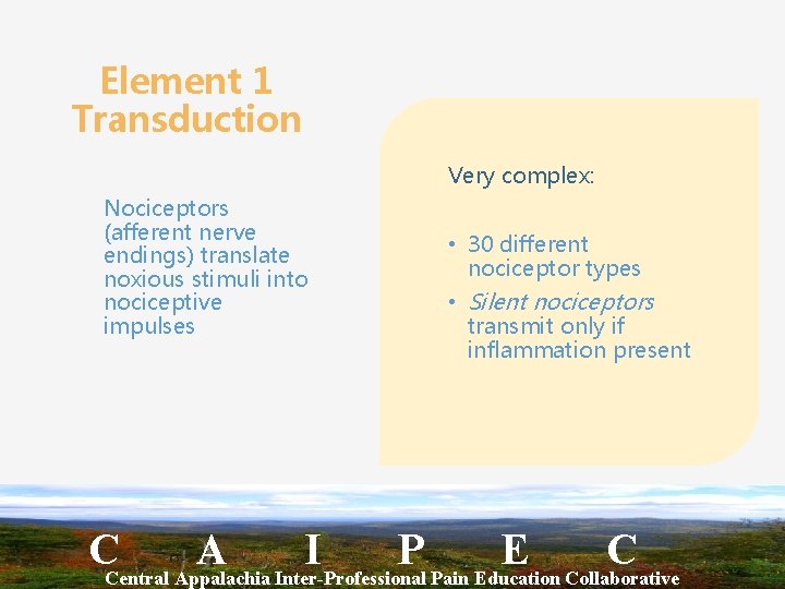 Element 1 Transduction Very complex: Nociceptors (afferent nerve endings) translate noxious stimuli into nociceptive
