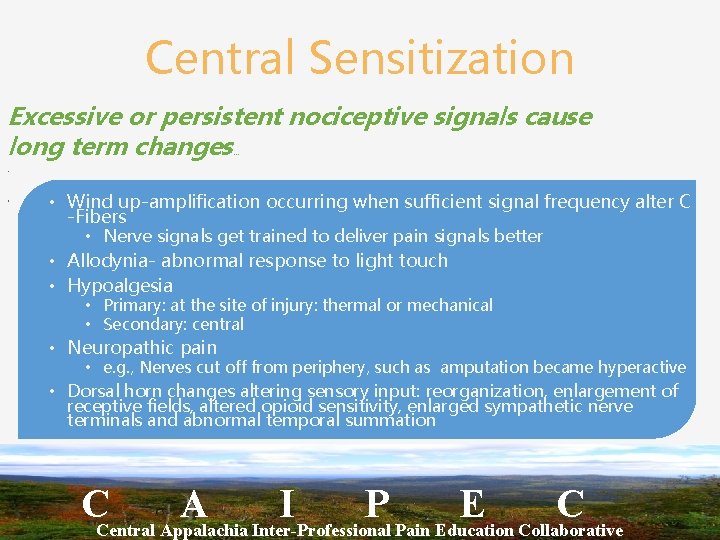 Central Sensitization Excessive or persistent nociceptive signals cause long term changes … • •