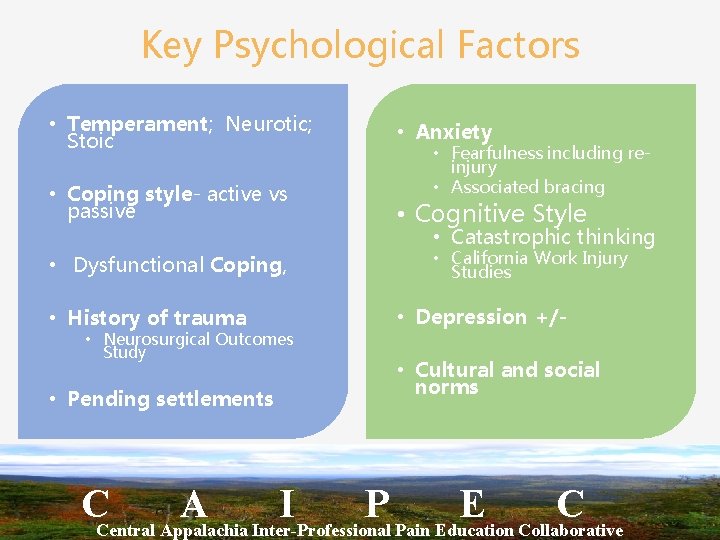 Key Psychological Factors • Temperament; Neurotic; Stoic • Anxiety • Coping style- active vs