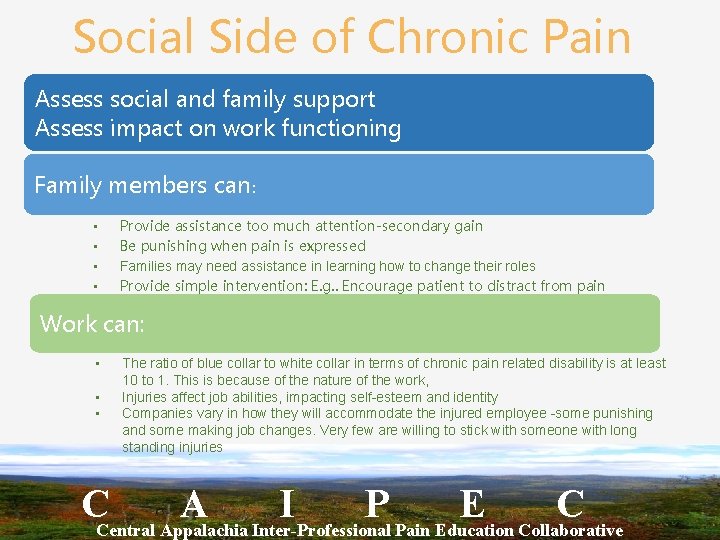 Social Side of Chronic Pain Assess social and family support Assess impact on work