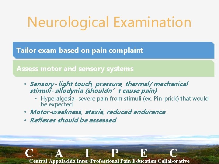 Neurological Examination Tailor exam based on pain complaint Assess motor and sensory systems •