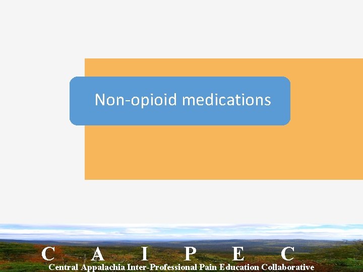 Non-opioid medications CCentral Appalachia A Inter-Professional I P Pain Education E Collaborative C 