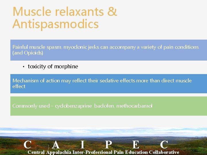 Muscle relaxants & Antispasmodics Painful muscle spasm, myoclonic jerks can accompany a variety of