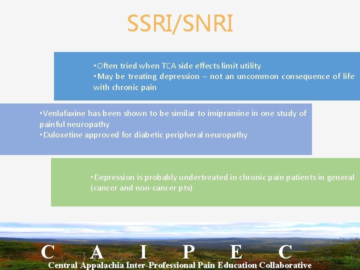 SSRI/SNRI • Often tried when TCA side effects limit utility • May be treating