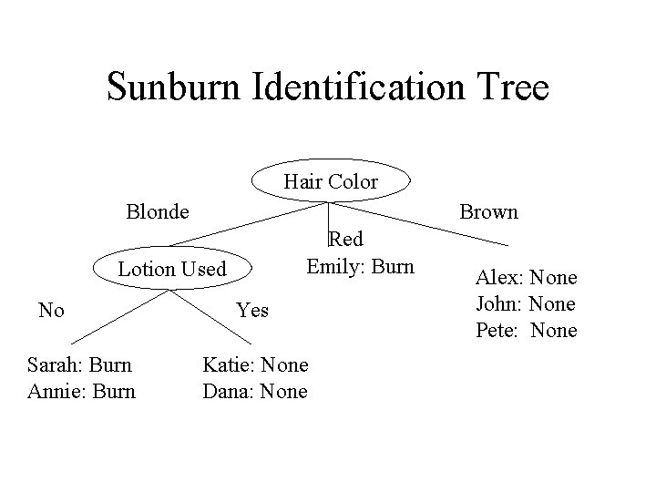 Sunburn Identification Tree Hair Color Blonde Brown Red Emily: Burn Lotion Used No Sarah: Sunburn Identification Tree Hair Color Blonde Brown Red Emily: Burn Lotion Used No Sarah: