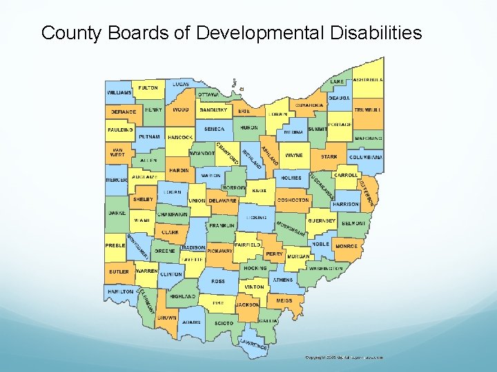 County Boards of Developmental Disabilities 