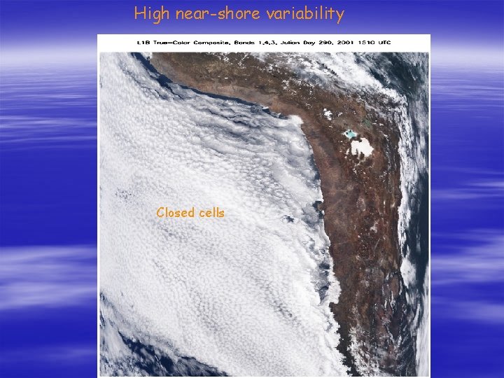 High near-shore variability Closed cells 