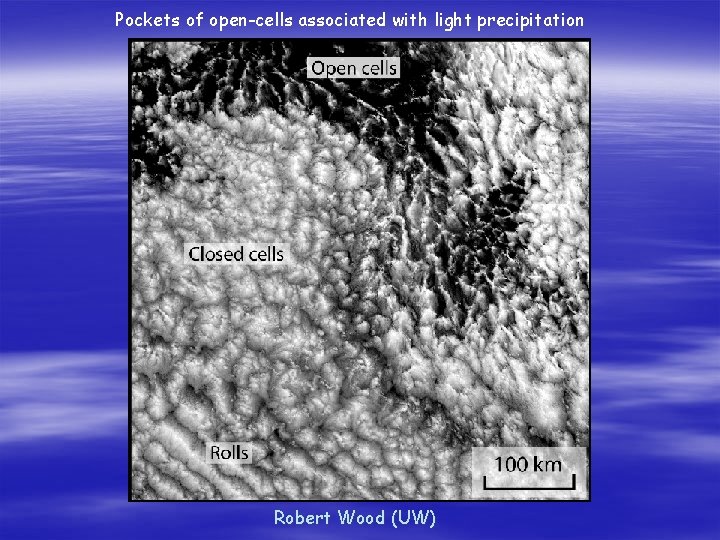 Pockets of open-cells associated with light precipitation Robert Wood (UW) 