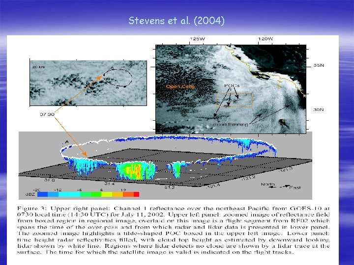 Stevens et al. (2004) 