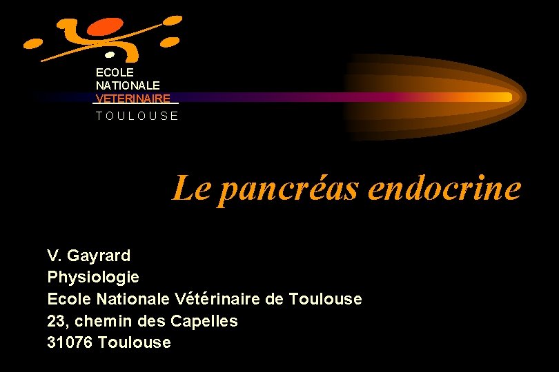 ECOLE NATIONALE VETERINAIRE TOULOUSE Le pancréas endocrine V. Gayrard Physiologie Ecole Nationale Vétérinaire de