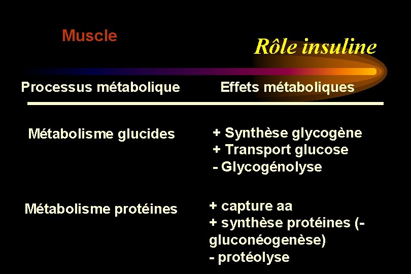 Muscle Rôle insuline Processus métabolique Effets métaboliques Métabolisme glucides + Synthèse glycogène + Transport