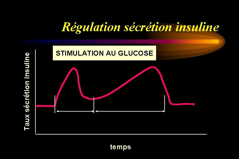 Taux sécrétion insuline Régulation sécrétion insuline STIMULATION AU GLUCOSE temps 