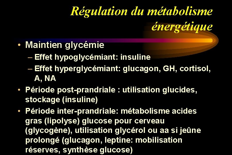 Régulation du métabolisme énergétique • Maintien glycémie – Effet hypoglycémiant: insuline – Effet hyperglycémiant: