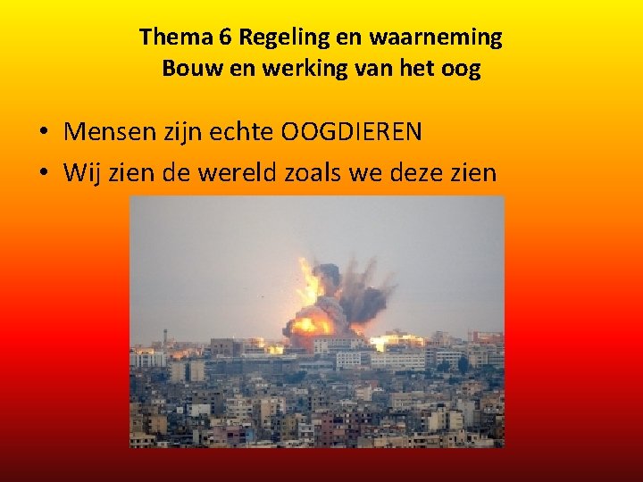 Thema 6 Regeling en waarneming Bouw en werking van het oog • Mensen zijn