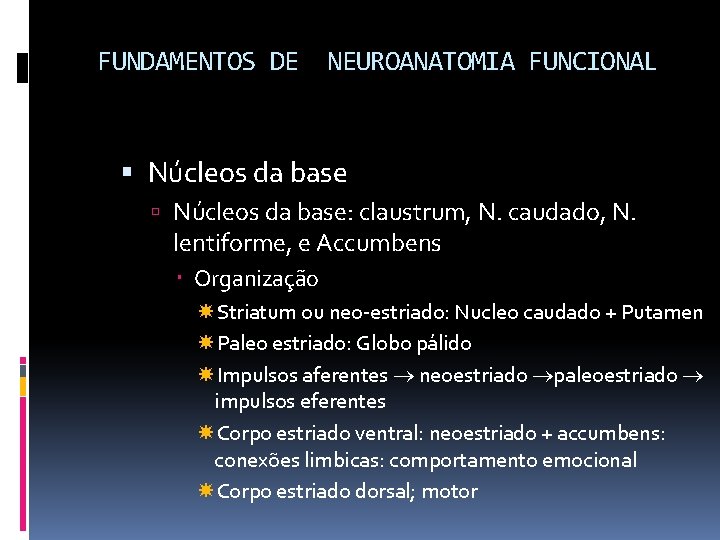 FUNDAMENTOS DE NEUROANATOMIA FUNCIONAL Núcleos da base: claustrum, N. caudado, N. lentiforme, e Accumbens