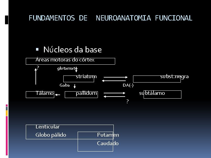 FUNDAMENTOS DE NEUROANATOMIA FUNCIONAL Núcleos da base Áreas motoras do córtex ? glutamato striatum