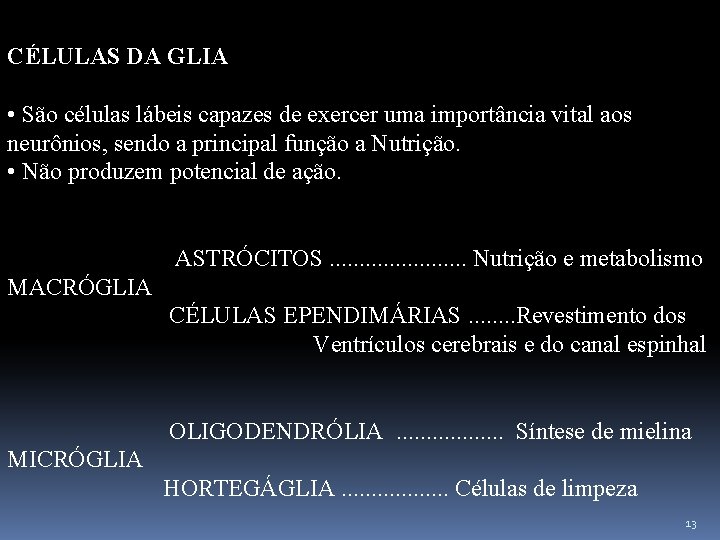 CÉLULAS DA GLIA • São células lábeis capazes de exercer uma importância vital aos