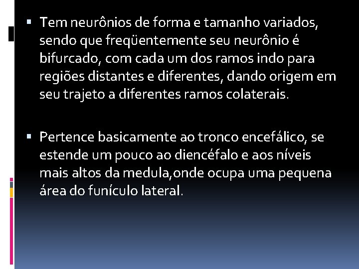  Tem neurônios de forma e tamanho variados, sendo que freqüentemente seu neurônio é