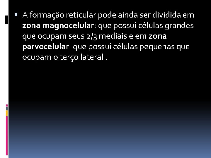  A formação reticular pode ainda ser dividida em zona magnocelular: que possui células