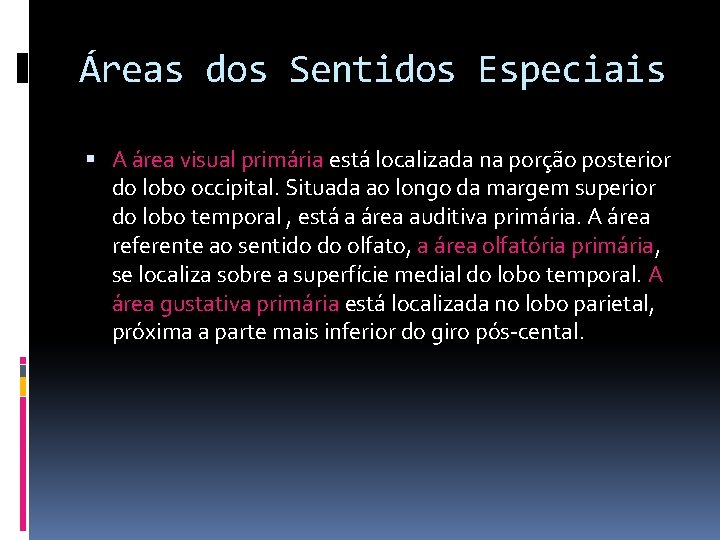 Áreas dos Sentidos Especiais A área visual primária está localizada na porção posterior do