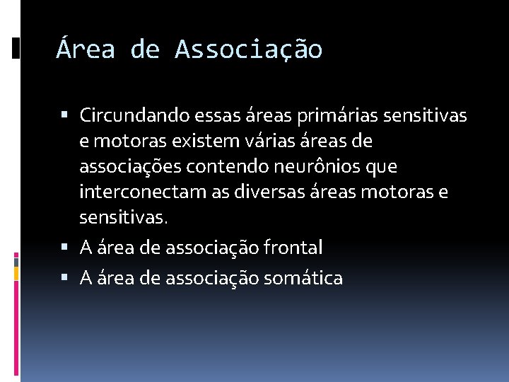 Área de Associação Circundando essas áreas primárias sensitivas e motoras existem várias áreas de