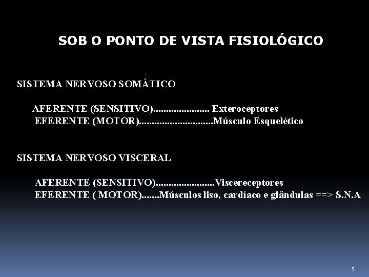 SOB O PONTO DE VISTA FISIOLÓGICO SISTEMA NERVOSO SOMÁTICO AFERENTE (SENSITIVO). . . .