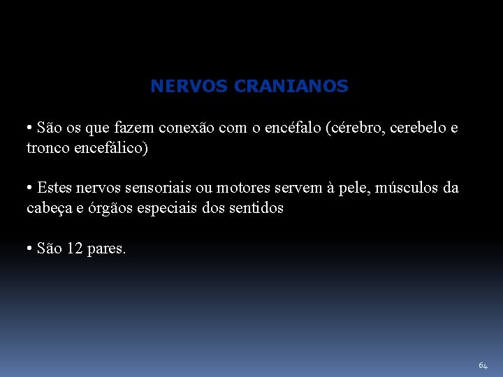  NERVOS CRANIANOS • São os que fazem conexão com o encéfalo (cérebro, cerebelo