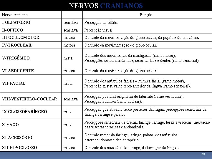 NERVOS CRANIANOS Nervo craniano I-OLFATÓRIO sensitiva Percepção do olfato. II-ÓPTICO sensitiva Percepção visual. III-OCULOMOTOR