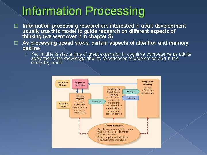 Information Processing Information-processing researchers interested in adult development usually use this model to guide