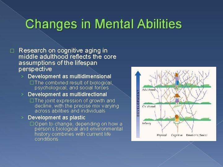 Changes in Mental Abilities � Research on cognitive aging in middle adulthood reflects the