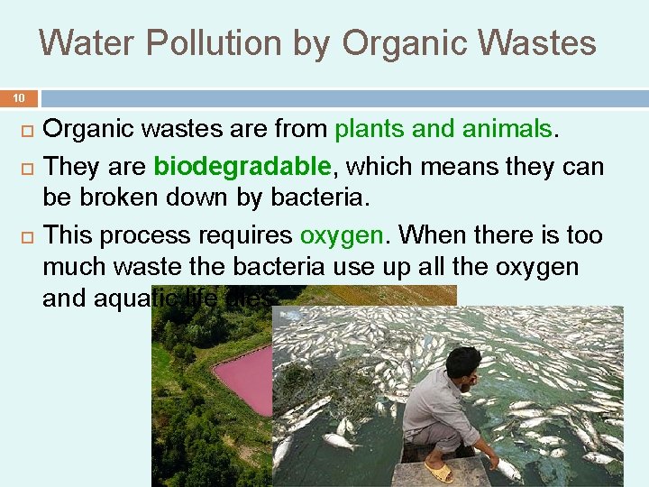 Water Pollution by Organic Wastes 10 Organic wastes are from plants and animals. They Water Pollution by Organic Wastes 10 Organic wastes are from plants and animals. They