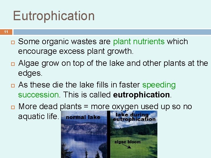 Eutrophication 11 Some organic wastes are plant nutrients which encourage excess plant growth. Algae Eutrophication 11 Some organic wastes are plant nutrients which encourage excess plant growth. Algae