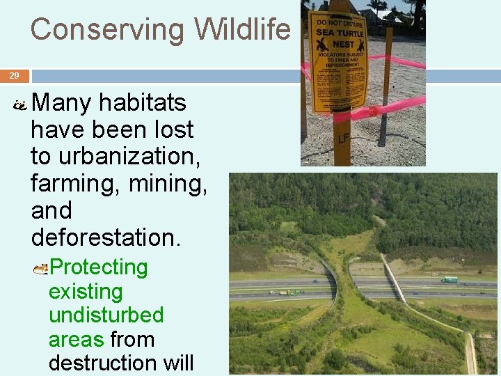 Conserving Wildlife 29 Many habitats have been lost to urbanization, farming, mining, and deforestation. Conserving Wildlife 29 Many habitats have been lost to urbanization, farming, mining, and deforestation.