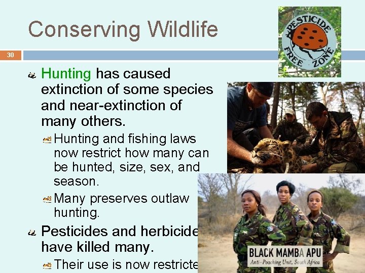 Conserving Wildlife 30 Hunting has caused extinction of some species and near-extinction of many Conserving Wildlife 30 Hunting has caused extinction of some species and near-extinction of many